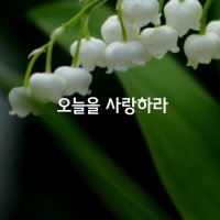 오늘을사랑하라😁