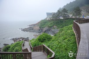 백수 이미지