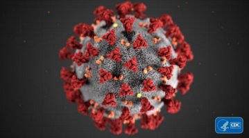 코로나바이러스감염증-19 오해와 편견