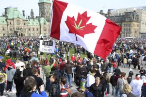 캐나다가 전 세계 마리화나 산업을 주도할 것으로 보인다