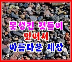 ★ 못생긴 것들이 있어서 아름다운 세상 ★