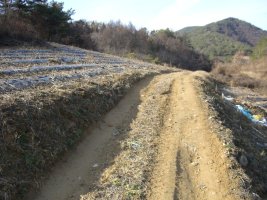 단양 명당자리도 있고 아주 저렴한 다용도 임야