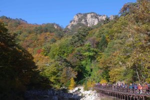 설악산 주전골 단풍(오색약수 한계령)