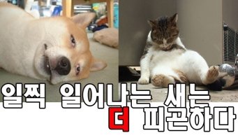 사회에서 배우는 진리