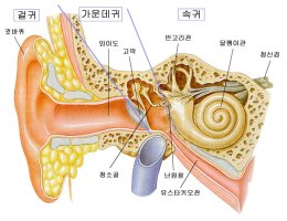 ★★샤워후 '면봉'으로 귀 파면 절대 안되는 이유 5가지★★