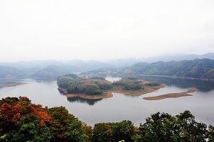 정읍 구절초 축제와 옥정호