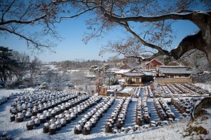 명재윤증고택 메주 쑤는 날