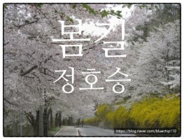봄길 이미지