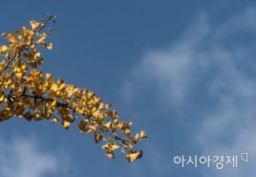 '상강'의 뜻과 풍습은?..서리 내리는 날, 조선 시대에는 군 행사 진행