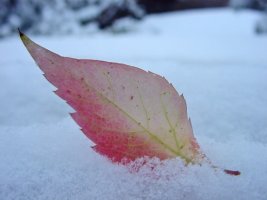 겨울이 시작되는 날 '입동'