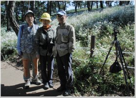 정읍 구절초축제