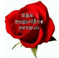 꾸다 이미지