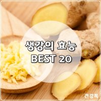 생강의 효능 BEST 20