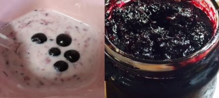 아로니아 열매 맛있게 먹는 방법과 생과보관방법