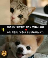 [방탄 카톡빙의글] 고양이 태형 ♥ 강아지 여주 1.