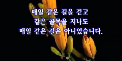 고장없이 가는 세월(19,1,26)