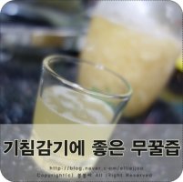 기침감기에좋은음식 * 무꿀즙, 무꿀절임 만드는법