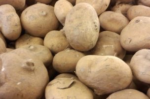 얌빈(히카마)효능 ..당뇨에 좋은..