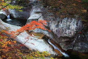 10월 정기 산행] 오대산 소금강 계곡 산행 (5시간)