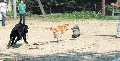 결혼식 하객 '똑같은 복장'