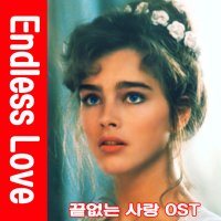 Endless Love Diana Ross & Lionel Richie (다이애나 로스 & 라이오넬 리치 끝없는 사랑 OST 브룩쉴즈) 가사 해석 듣기