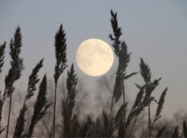 Full moon, 보름달