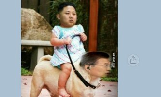 자한당은 그냥 의원질 하지마.