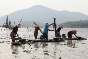 보성 장도! 휴가철 찾아가고 싶은 33섬 선정!