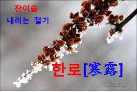 한로(寒露)/뜻, 생태, 풍속, 속담, 시식(時食)