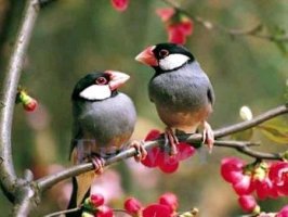 나훈아-공[空]/내 삶을 눈물로 채워도/물레방아 도는데