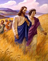 (녹) 연중 제22주간 토요일 - 9월09일
