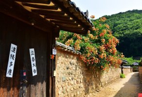 生于憂患 死于安樂"(생우우환 사우안락)