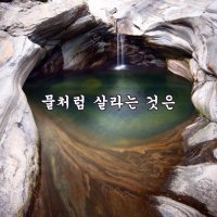 ★ 물처럼 살라는 것은 ★