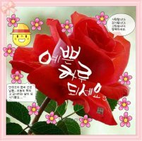 음악처럼 흐르는 고운 행복 / 좋은 글 중에서