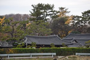 창녕 석리, 성씨 고가