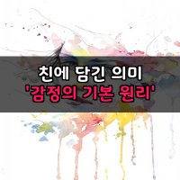 친에 담긴 의미