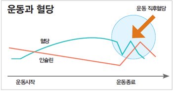 은행동 헬스장 운동과 인슐린