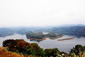 정읍 구절초 축제와 옥정호