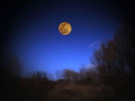 회원님 가족의 행복을 기원 드립니다