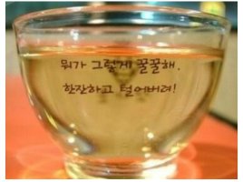 ??7월13~14일(금~토)출석부((소주한잔할래?))???