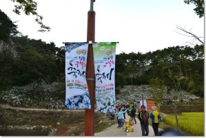 정읍 구절초 축제 -1-