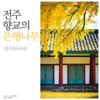 [전북전주] 노란물결의 향연, 전주향교 은행나무