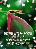 음악처럼 흐르는 고운 행복 / 좋은 글 중에서