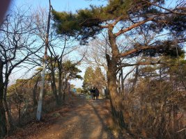 광주 유일의 지산유원지 팔각정 리프트카와 `노후의 삶` 좋은글 영상