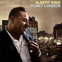 I'll Play The Blues For You - 앨버트 킹(Albert King)