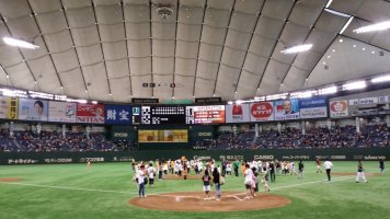 WBSC 프리미어12 국가대표 최종엔트리 28명 확정! 두산 최다 6명, 11월 2일 서울 고척돔에서 개막, 김경문호