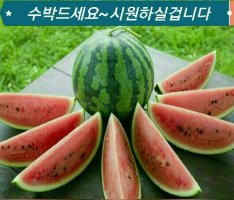 ㄱㅅ감사 합니다 ㄱㅅ