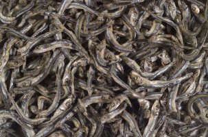 멸치 효능 어디에 좋을까요?