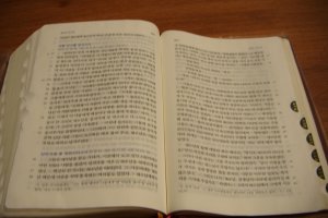 그리스도 왕 대축일 (성서 주간)