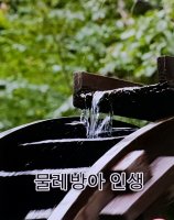 물레방아 인생